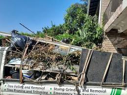 Best Residential Junk Removal  in Marble Falls, TX